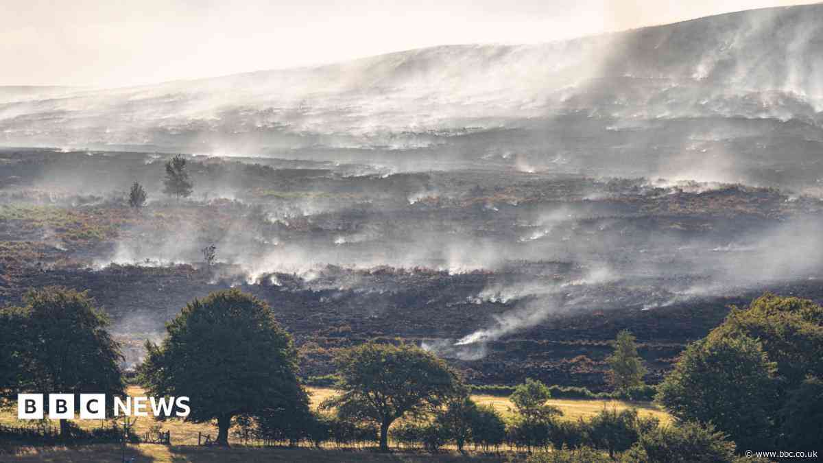 Welsh county becomes global hotspot for carbon emissions after wildfires