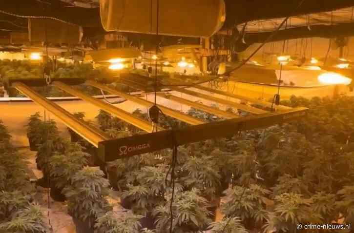 Enorme professionele wietkwekerij met miljoenen aan toppen ontdekt bij inval in loods
