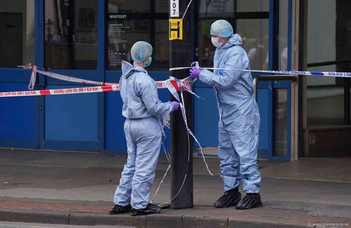 Ethnic minority victims make up 9 out of 10 unsolved murders in London, report shows