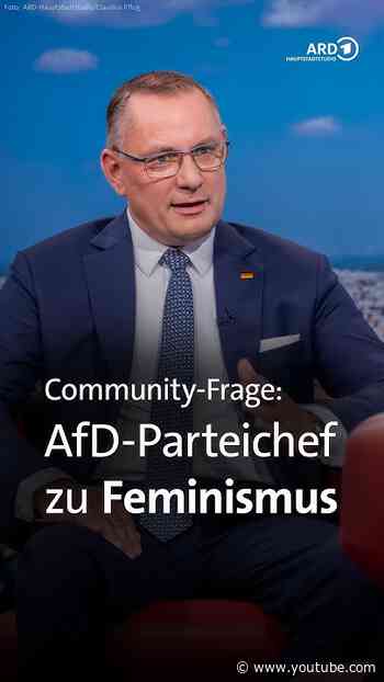 AfD-Vorsitzender Chrupalla zu Feminismus
