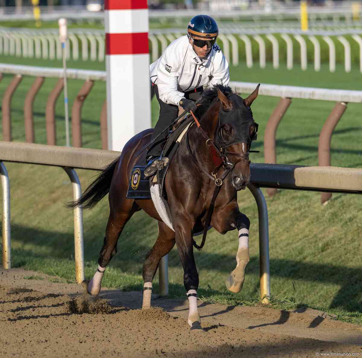Live updates: Who is running in the 2026 Travers Stakes? Golden Tempo, Renegade highlight top contenders