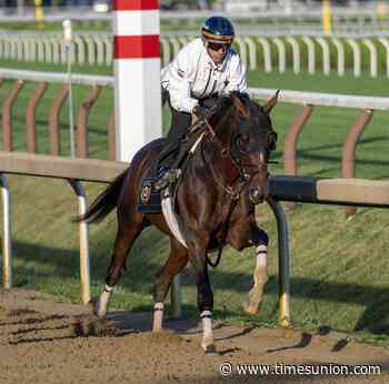 Live updates: Who is running in the 2026 Travers Stakes? Golden Tempo, Renegade highlight top contenders