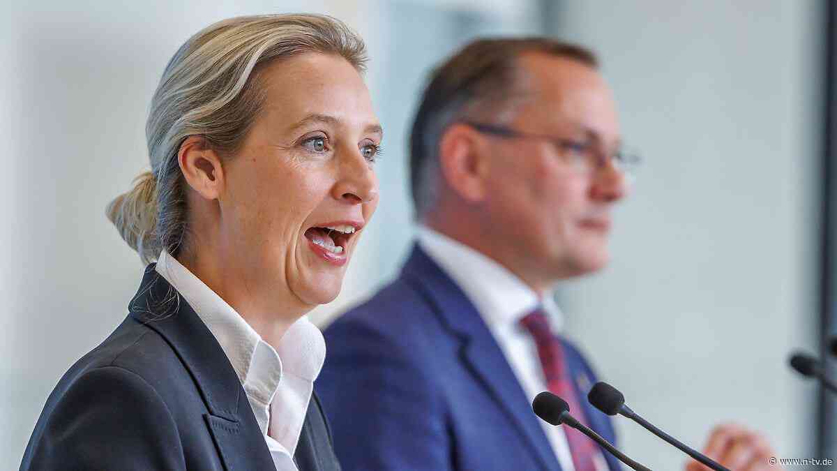 Weidels Verachtung: Alles egal, Hauptsache Eskalation