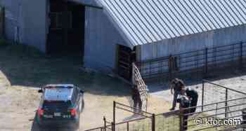 El Reno police chase ends with suspect in custody
