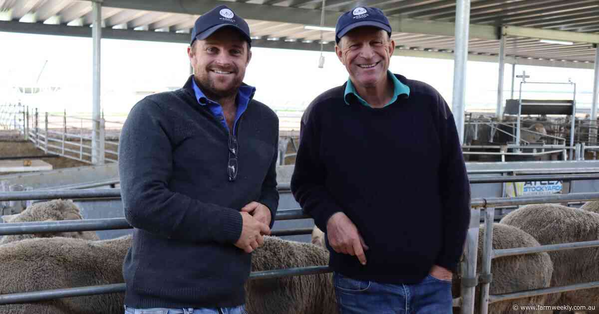How innovation and a 40-year dream put this Merino family on the world stage