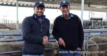 How innovation and a 40-year dream put this Merino family on the world stage
