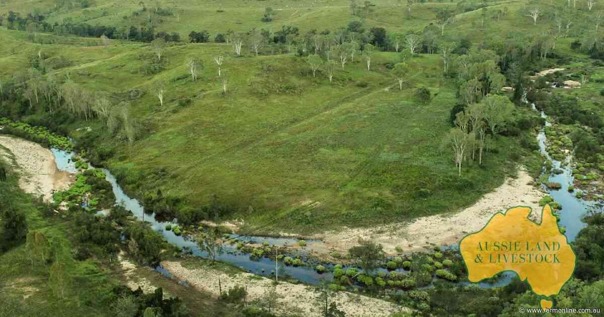 Crescent Valley delivers high-rainfall country for 1200 breeders | Video