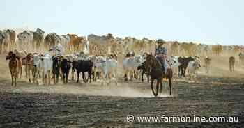 Outright sale or partner wanted for 178,870ha NT/WA cattle station