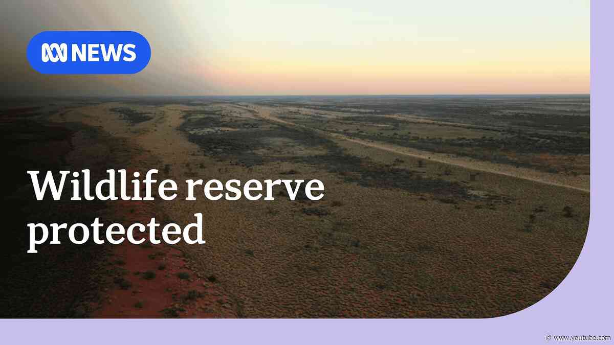 Traditional owners relieved they won't have to watch another Juukan Gorge disaster | ABC News