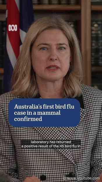 Australia's first bird flu case in a mammal confirmed in South Australia | ABC NEWS