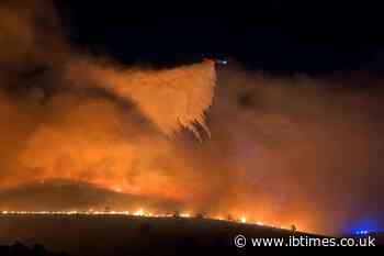Nevada's Hawk Fire Expands to 13,000 Acres, Injuring Six as Governor Declares Emergency, 90,000 Told To Evacuate