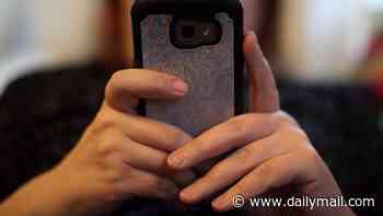 The Morning Poll: Do you worry about letting your children go online?