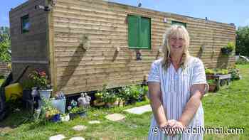 Widow who bought fly-tipped wasteland and transformed it into a farm for schoolchildren is ordered to tear it all down by jobsworth council