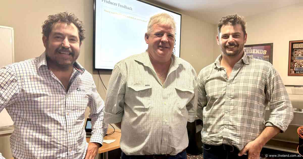 'Big bags of money' don't equal results, producers warn Cattle Australia