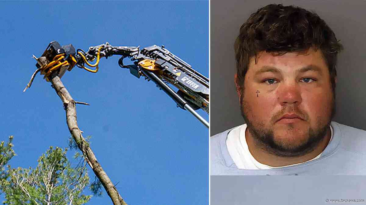 Minnesota tree trimmer charged in coworker’s death after on-the-job horseplay turns deadly
