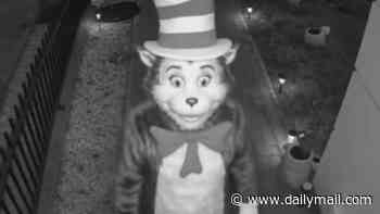 The Cat in the Hat is not real and is not coming to get you, weary British police tell terrified teens after 'creepy' AI video threats went viral on TikTok