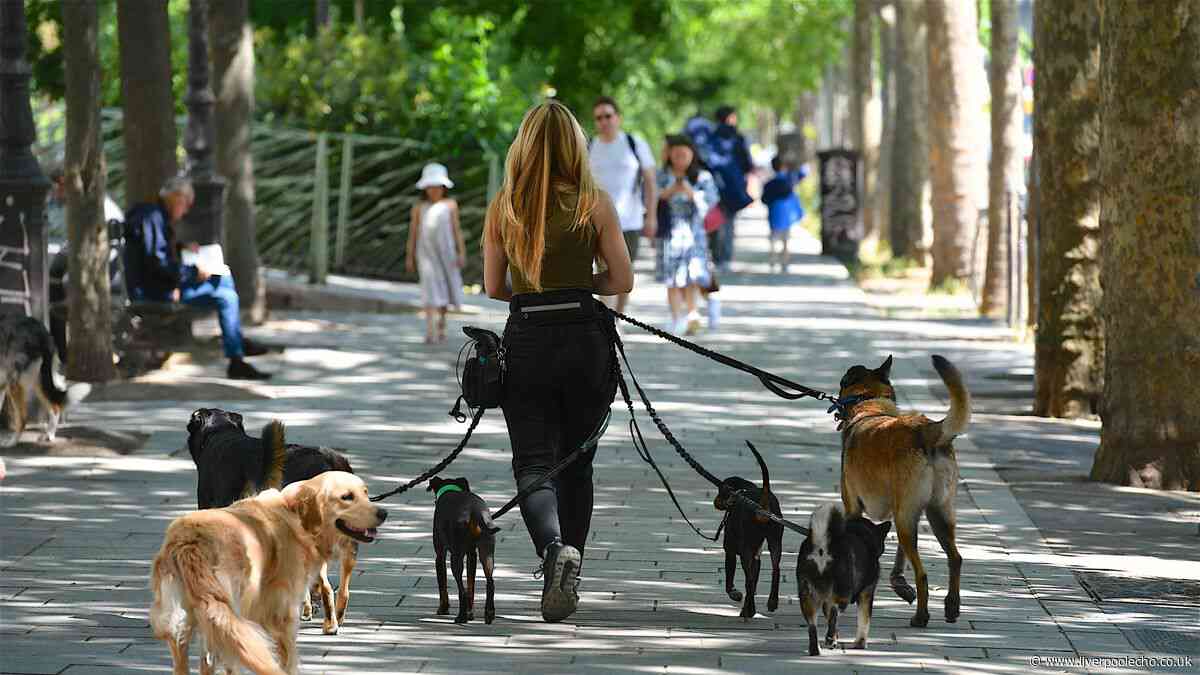 Full list of dogs banned in UK as law changing this year