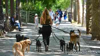 Full list of dogs banned in UK as law changing this year