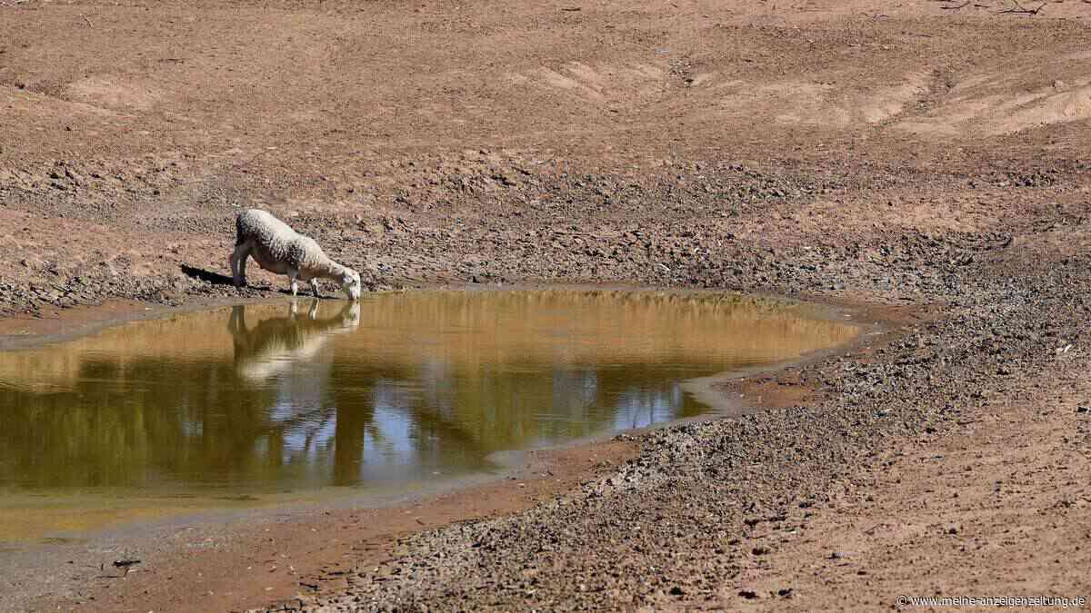 Pazifikregion heizt auf – sehr starker El Niño erwartet