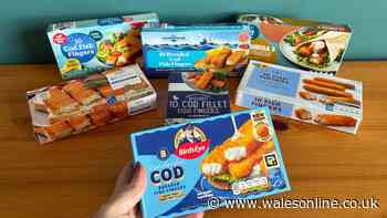 I compared Birds Eye fish fingers to six supermarket versions — clear winner