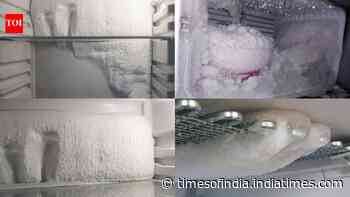 Fridge moisture problems? Simple tips to prevent condensation and keep food fresh