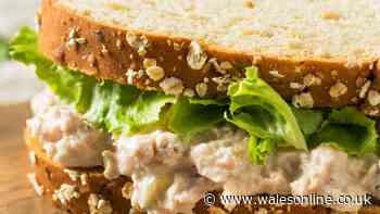 Tuna filling will be tastier and creamier if you ditch mayo for 1 mashed simple ingredient
