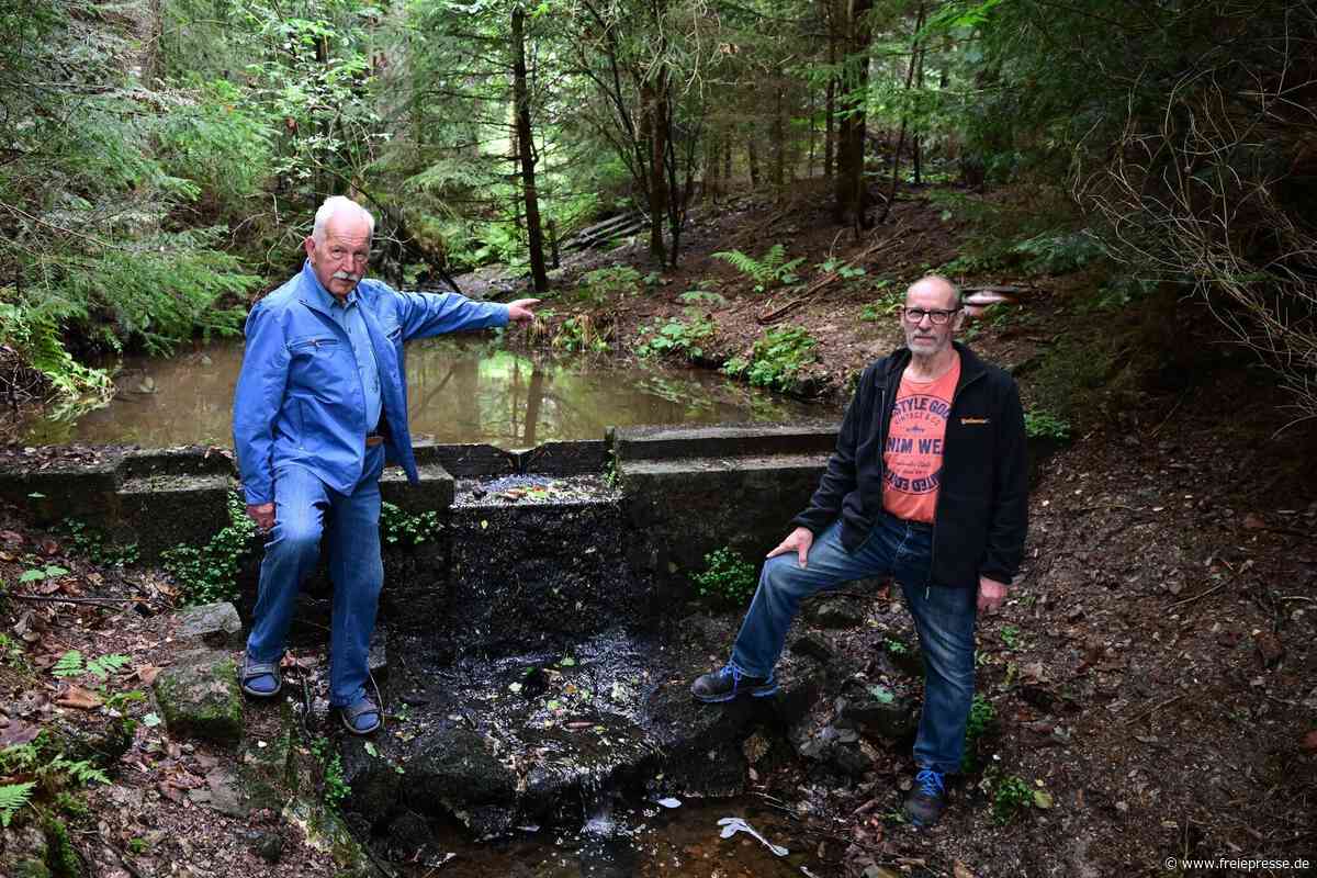 Kneippen im Wald: Bei Wanderern beliebtes Ausflugsziel im Erzgebirge wird schöner