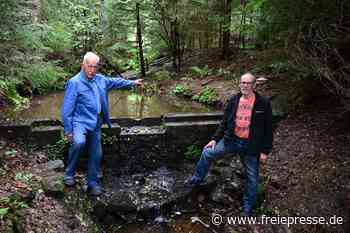 Kneippen im Wald: Bei Wanderern beliebtes Ausflugsziel im Erzgebirge wird schöner