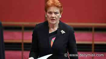 Pauline Hanson refuses to back down against Mehreen Faruqi and plots new legal move to clear her name after losing battle over tweet