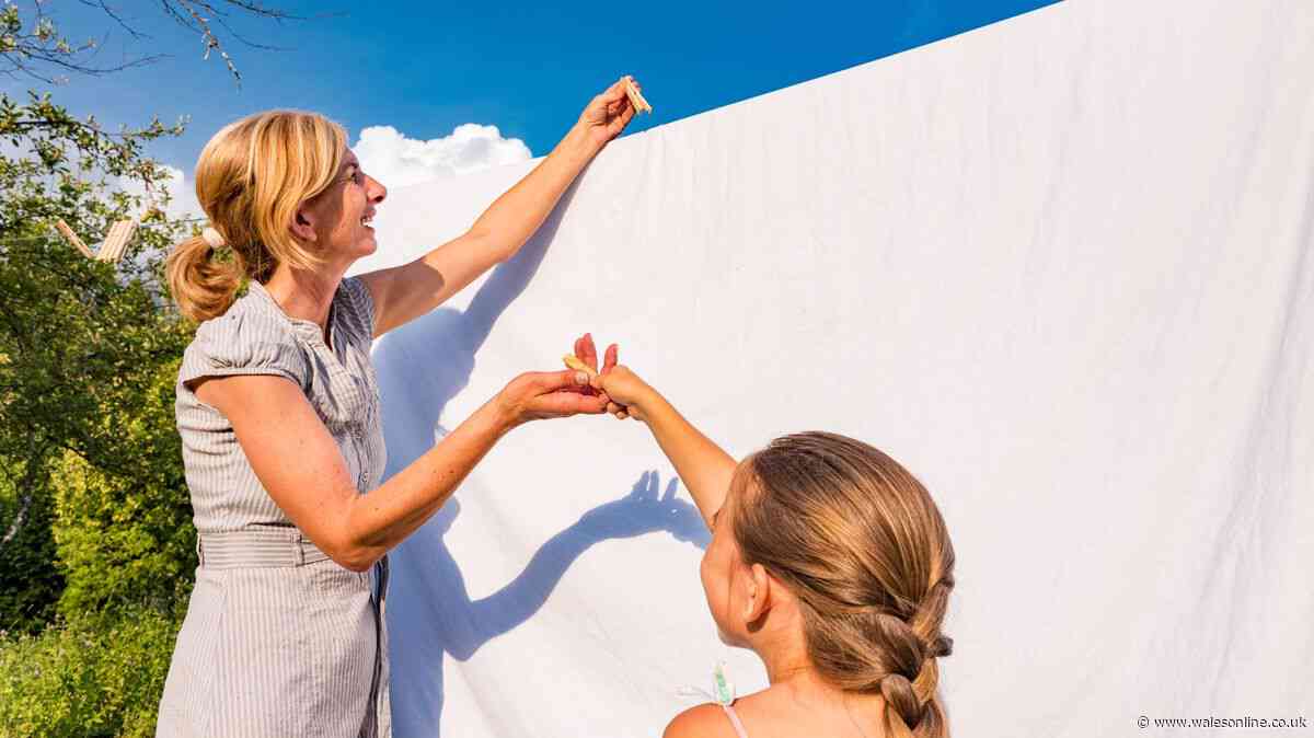 Stained bed sheets will be whiter if you ditch bleach for 1 natural item hotels use