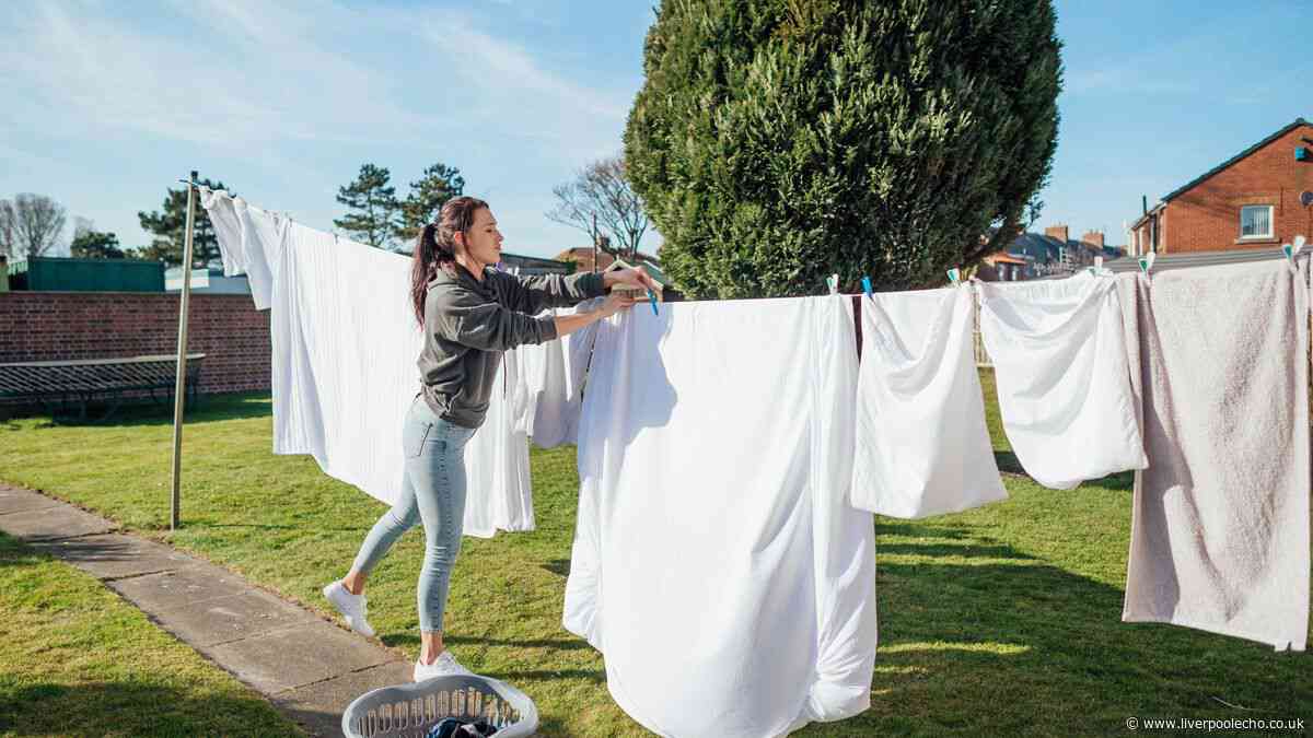 Bed sheets will come out of the wash whiter if you use 1 natural item hotels love
