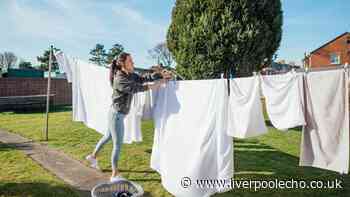 Bed sheets will come out of the wash whiter if you use 1 natural item hotels love