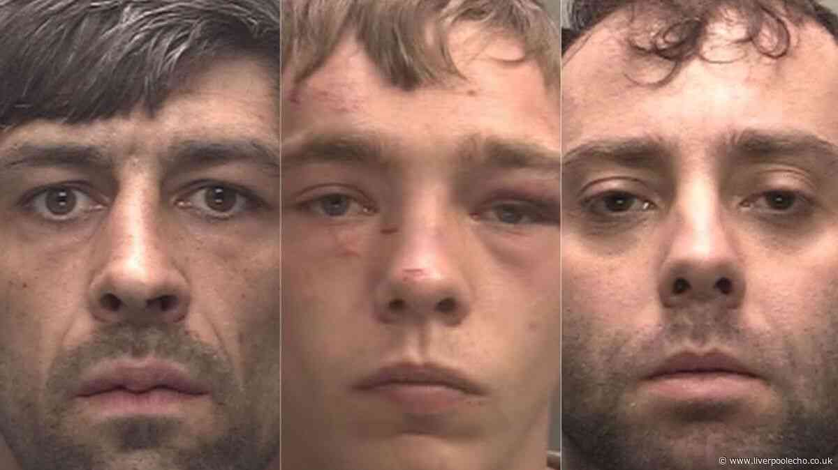 Burglar who watched nan sleep, bus stop pervert and pub thug jailed