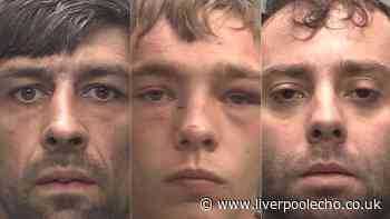 Burglar who watched nan sleep, bus stop pervert and pub thug jailed