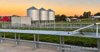 Automated feed management: could this be the key to seasonal feed gaps?