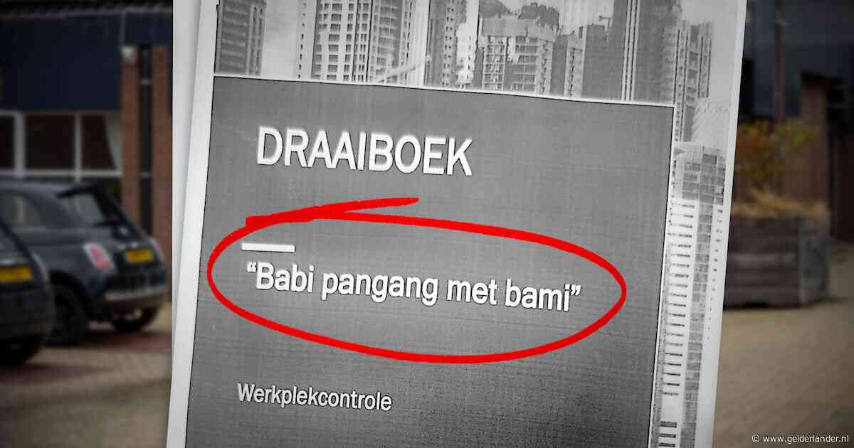 Arbeidsinspectie noemt inval bij Chinees restaurant ‘babi pangang met bami’, rechter valt erover