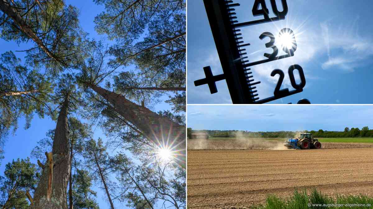 Hitzetote, dürre Acker, Millionenschäden: Was uns dieser Sommer in Bayern gekostet hat