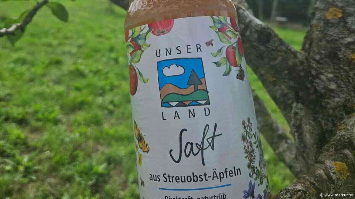 Apfelsammlung abgesagt: Kelterei sitzt auf vollen Lagern