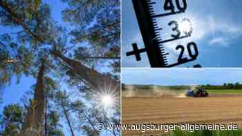 Hitzetote, dürre Acker, Millionenschäden: Was uns dieser Sommer in Bayern gekostet hat