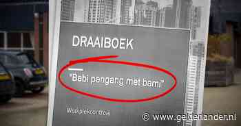 Arbeidsinspectie noemt inval bij Chinees restaurant ‘babi pangang met bami’, rechter valt erover