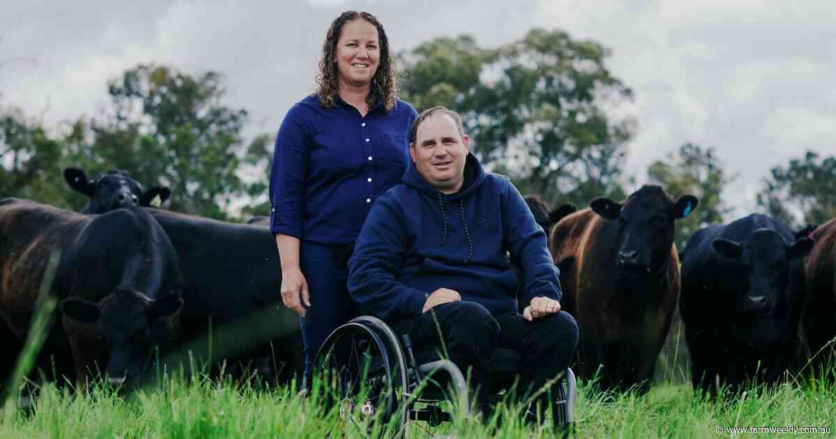 Productivity up 50pc: putting ag tech to the test pays off big in beef