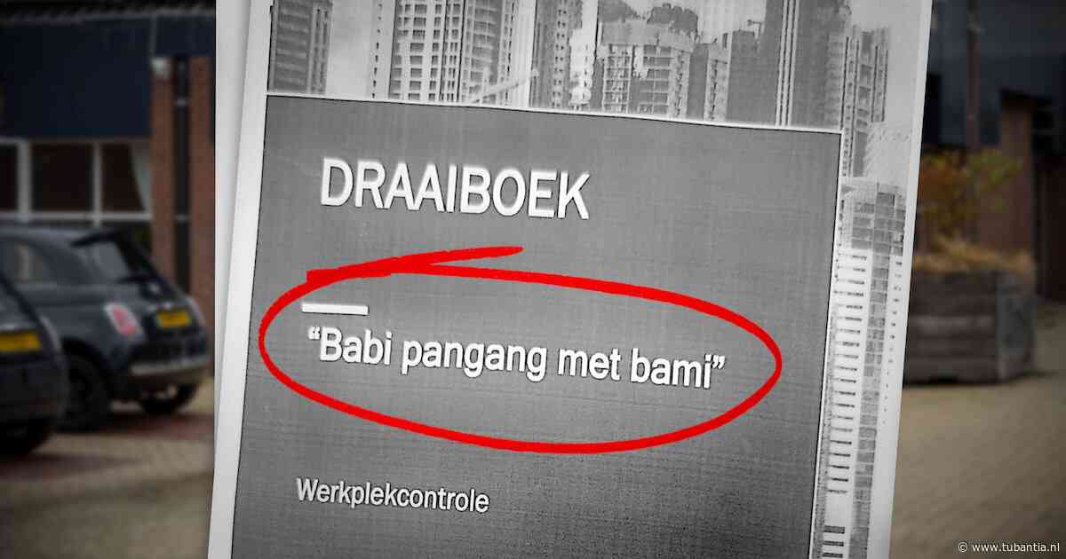 Arbeidsinspectie noemt inval bij Chinees restaurant ‘babi pangang met bami’, rechter valt erover