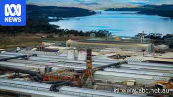 Business leaders urge governments to act as smelter power deadline looms