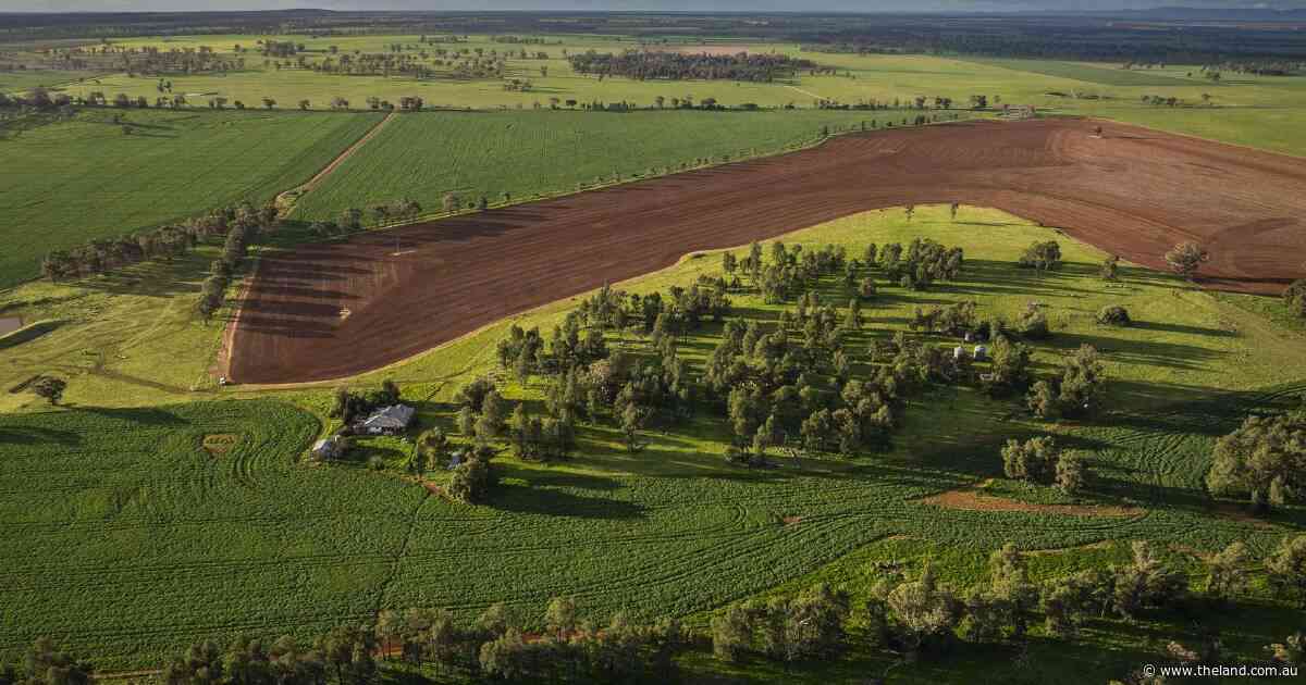 Well presented Whitefield delivers farming and grazing excellence | Video