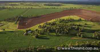 Well presented Whitefield delivers farming and grazing excellence | Video