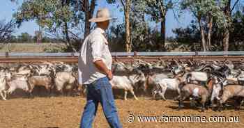 Australia's goatmeat exports stumble, but diversification cushions the fall