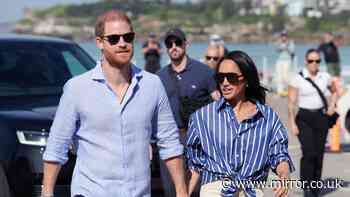Prince Harry and Meghan should receive 'middle ground' security, ex-Labour minister says
