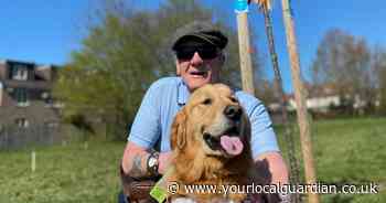 Fury after vandals wreck 'beautiful' memorial tree for guide dog in Norbury