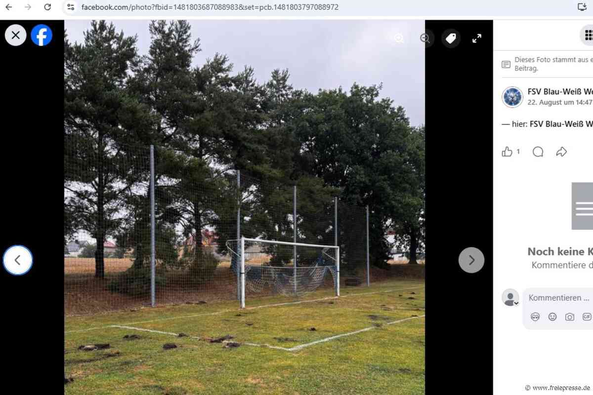 „Nur noch Idioten“: Sportplatz in Sachsen total verwüstet