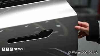 Nearly three million Teslas recalled in China over hidden door handles